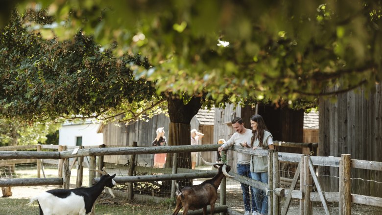 Tierische Erlebnisse im Weinviertel, © Weinviertel Tourismus / Sophie Menegaldo