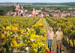 Wandern im Retzer Land, © Retzer Land/Bartl