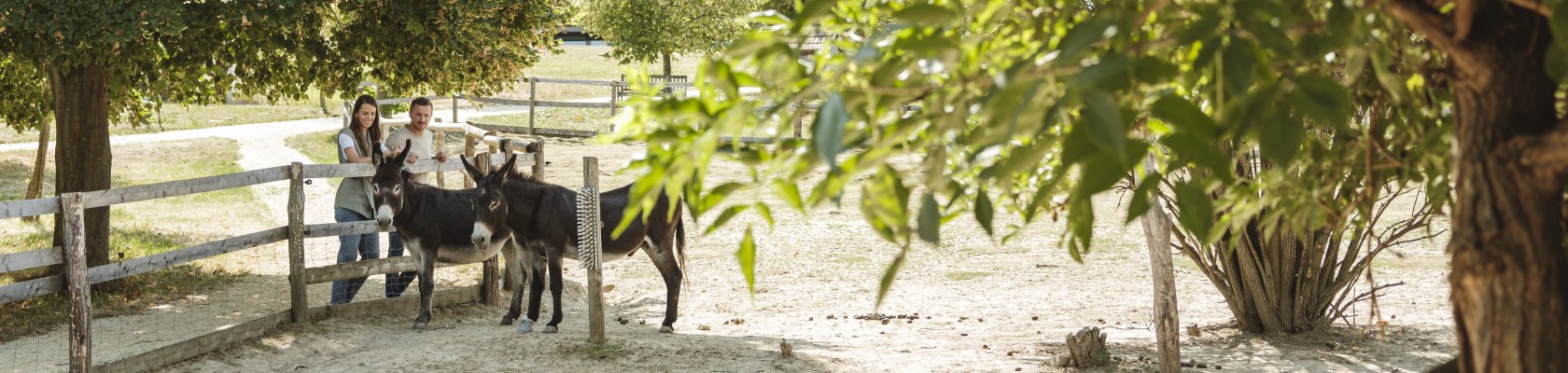 Tierischer Spaß im Weinviertel, © Weinviertel Tourismus / Michael Reidinger