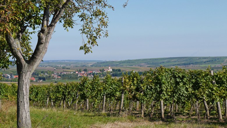 Blick auf Pfaffendorf, © Gemeinde Pernersdorf