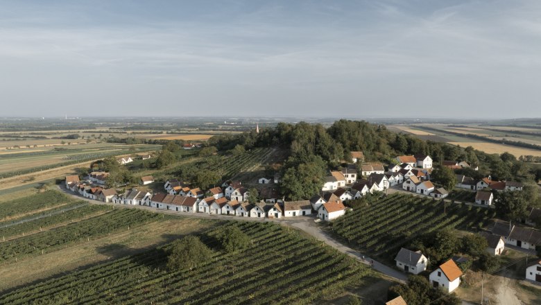 Kellergasse Galgenberg in Wildendürnbach, © Weinviertel Tourismus / Michaal Reidinger