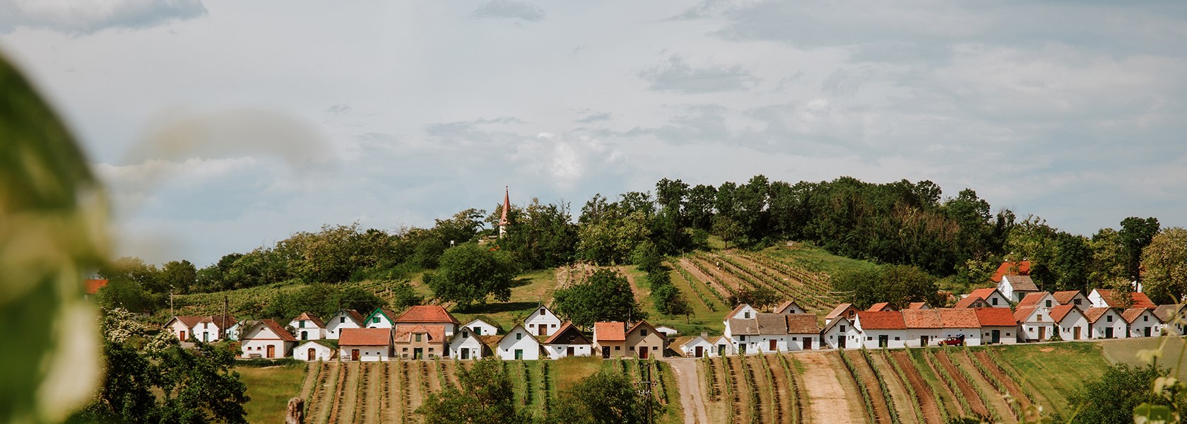 Kellergase Galgenberg (Wildendürnbach), © Niederösterreich Werbung / Nina Skalikova