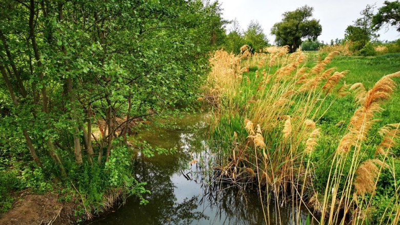 Natur pur!, © Weinstraße Weinviertel