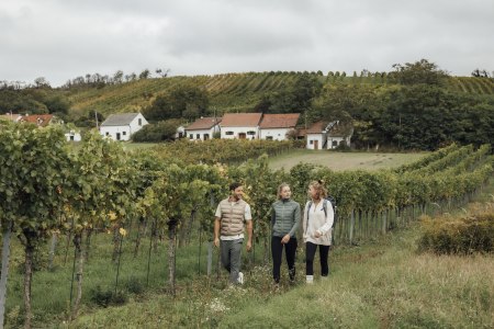 Dem Wein auf der Spur, © Weinviertel Tourismus / Sophie Menegaldo