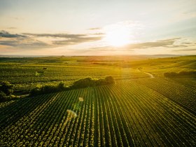 Das Tal in Österreich und Tschechien genießen, © Weinviertel Tourismus / Daniel Gollner