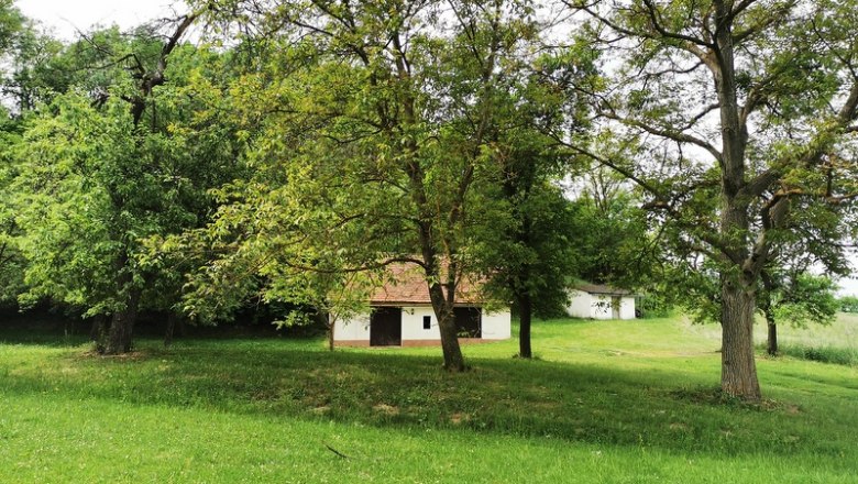 Viel Grün zwischen den alten Kellern, © Weinstraße Weinviertel