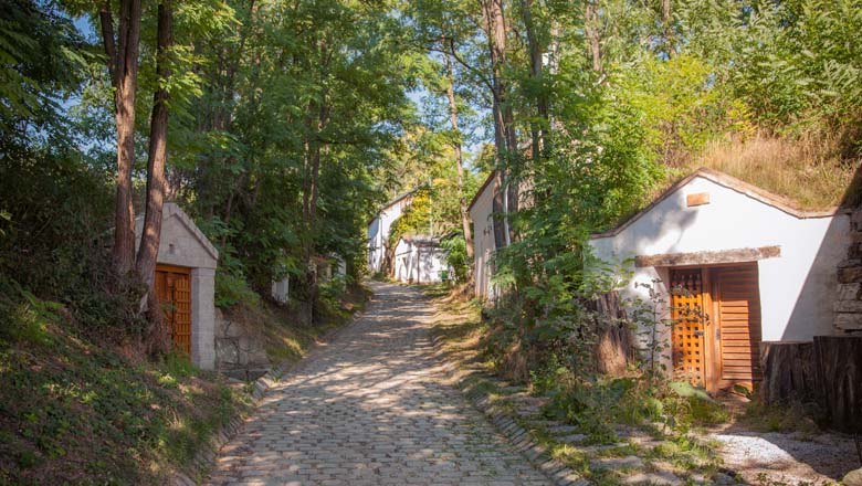 Kellergasse Oberkreuzstetten, © Alexander Smyczko