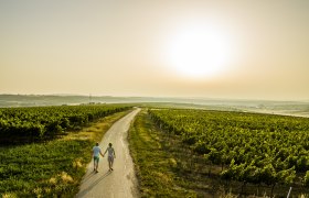 Kurzurlaub in Herrnbaumgarten, © Robert Herbst