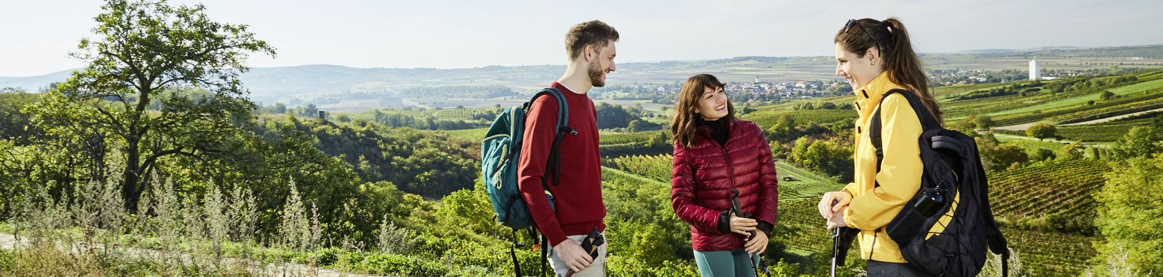 Weinberg.Walking.Weinviertel, © Weinviertel Tourismus / Michael Liebert