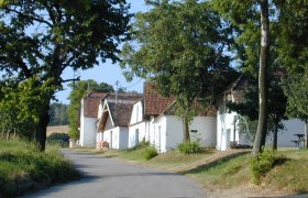 Kellergasse Patzmannsdorf, © Marktgemeinde Stronsdorf