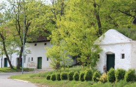 Kellerberg Großkrut, © Weinviertel Tourismus