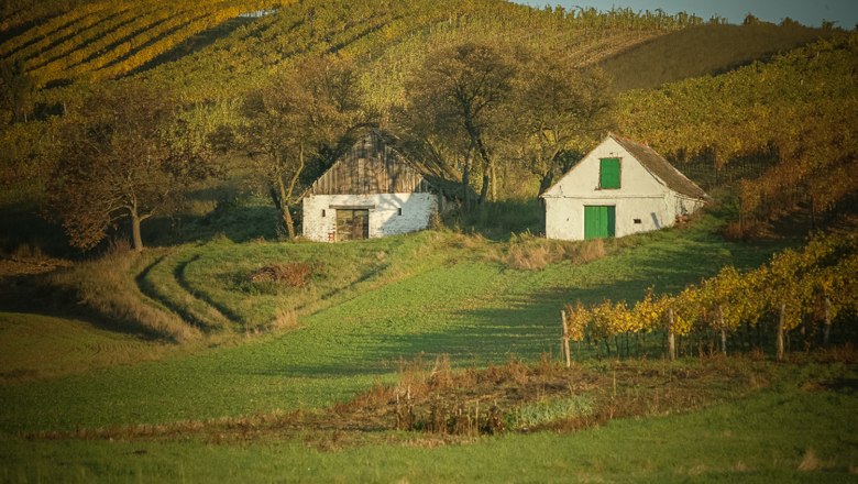 Weinviertler Landschaft, © Weinrieder