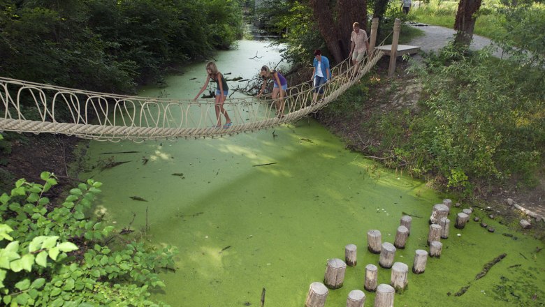 Stipfelpfad und Seilbrücke auf der Schlossinsel, © Kovacs