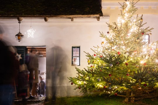 Scheinende Lichterketten… , © Weinviertel Tourismus / Claudia Schlager