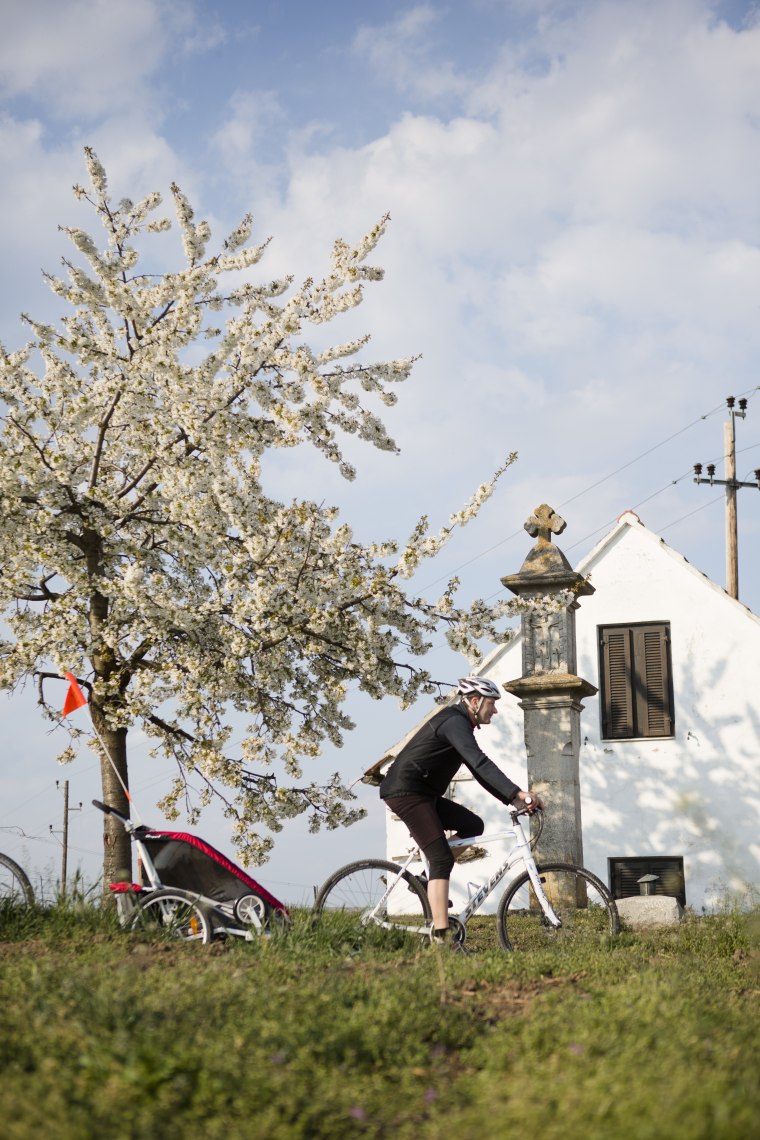 Genussvolles Radfahren, © Weinviertel Tourismus / Astrid Bartl