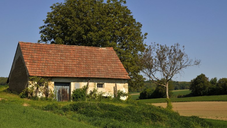 Keller in Hautzendorf, © Weinviertel Tourismus / Mandl