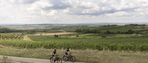 Streckenverlauf, © Weinviertel Tourismus / Markus Frühmann