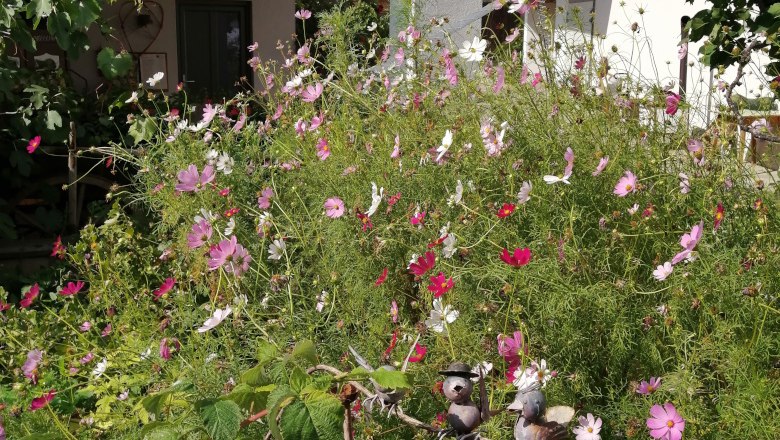 Blütenpracht im Innenhof, © Andrea Wiesinger