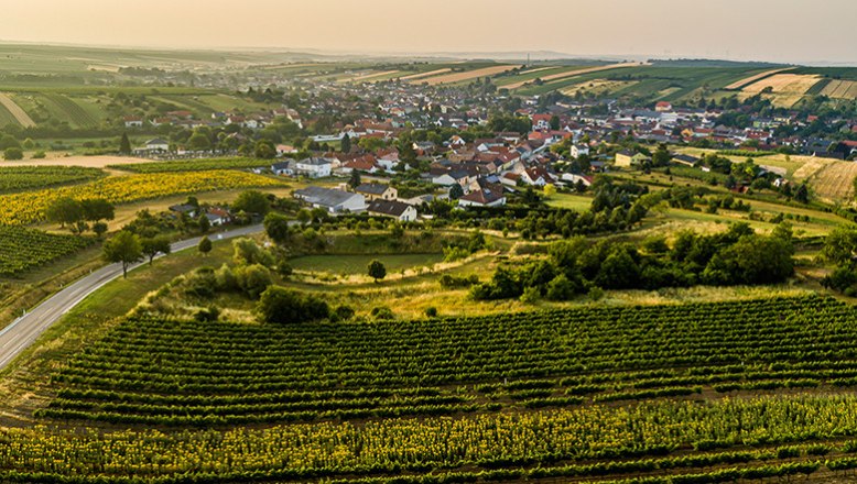 Weinort Herrnbaumgarten, © Robert Herbst / POV