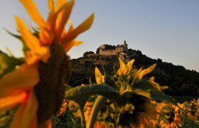 Léto, slunce, sluneční svit, © Weinviertel Tourismus / Mandl