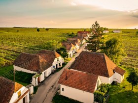 Kellergasse Zellerndorf, © Weinviertel Tourismus / Herbst