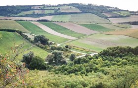 Blaue Wand, Hornmelde, © Marktgemeinde Stronsdorf