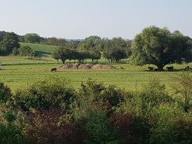 Wegbegleiter Bad Pirawarth, © Weinviertel Tourismus GmbH