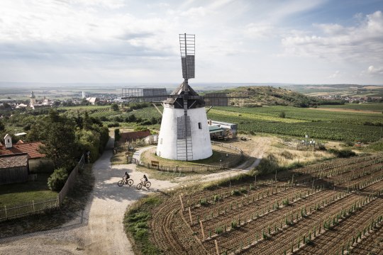 alten Windmühlen,, © Weinviertel Tourismus / Markus Frühmann