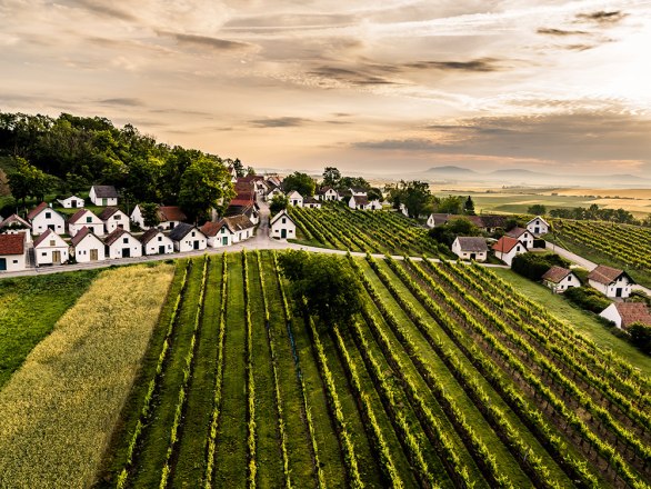 Kellergasse Galgenberg, © Robert Herbst / POV