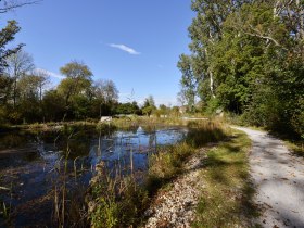 Nationalpark Donau-Auen © Donau Niederösterreich/Steve Haider, © Donau Niederösterreich/Steve Haider