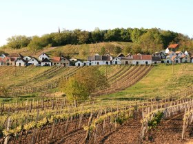 Kellergasse Galgenberg Wildendürbach, © Weinviertel Tourismus / Weiss