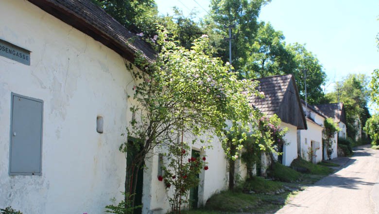 Kellergasse "Loahmgstettn" Ameis, © Weinviertel Tourismus