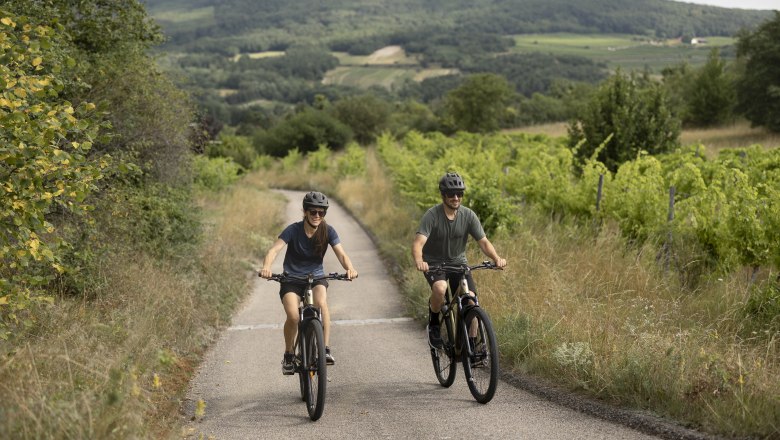 3.000 km Radrouten durchs Weinviertel werden neubeschildert, © Weinviertel Tourismus / Markus Frühmann