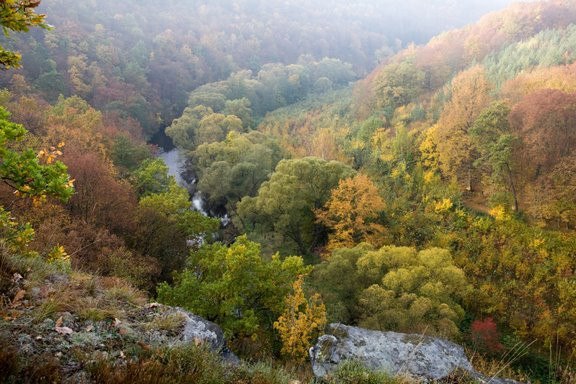 Bunter Herbstwald, © NP Thayatal