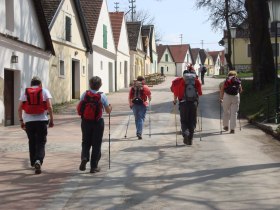 Kellergasse Falkenstein, © Weinviertel Tourismus / Kraus