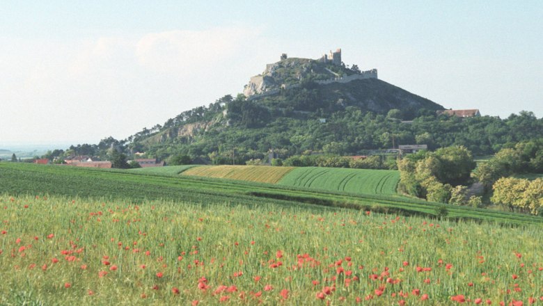 Staatzer Berg, © Gemeinde Staatz