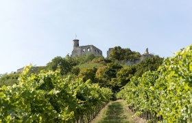 Burgruine Falkenstein, © Michael Himml