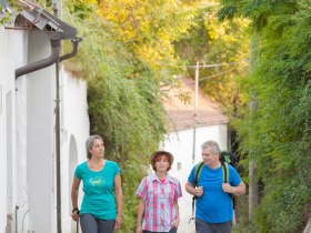 Die Weinviertler Kellergassen durchwandern, © Weinviertel tourismus / Lahofer