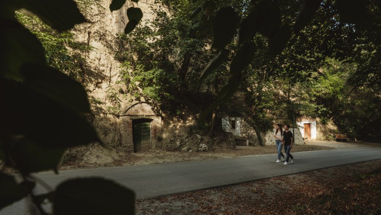 Hohlweg-Kellergasse Schindergasse in Herrnbaumgarten, © Weinviertel Tourismus / Michael Reidinger