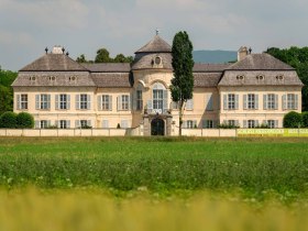 Schloss Niederweiden, © Weinviertel Tourismus GmbH