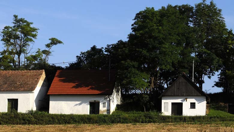 Kellergasse Fuchsenweg Bullendorf, © Weinviertel Tourismus / Mandl