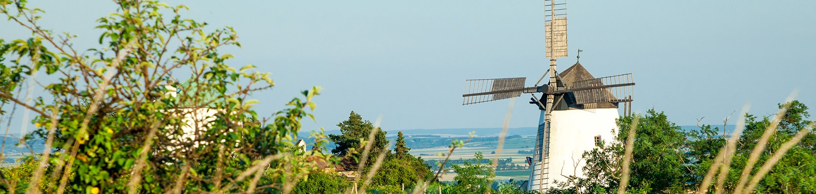 Windmühle Retz, © Retzer Land / Die Reisereporter