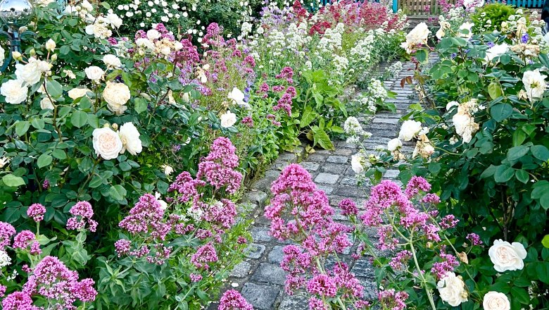 Genießen Sie die Natur im Garten, © Monika Köhler