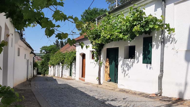 Kellergasse "Bürsting" Poysdorf, © Vino Versum Poysdorf