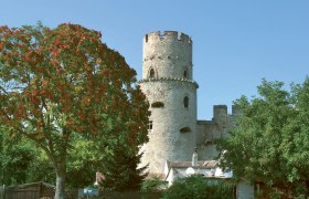 Burg Laa, © Stadtgemeinde Laa