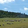 Ansicht Oberleiser Berg, © Geistliches Jugendzentrum Oberleis