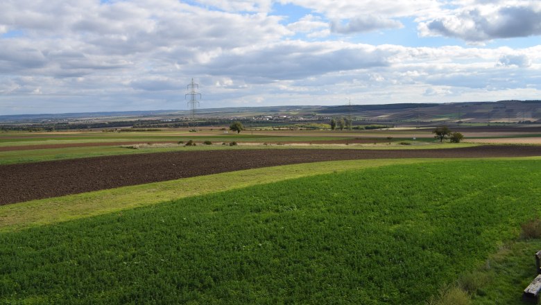 Blick auf die Fundstelle von Roseldorf, © ARDIG