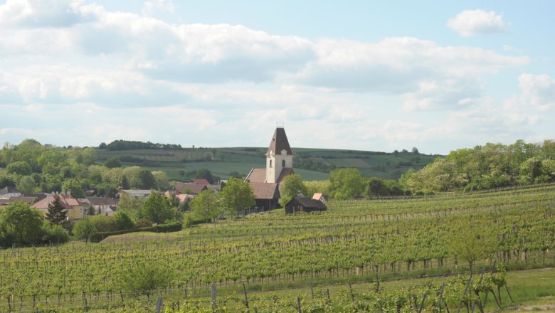 Weingarten beim Pleyel Museum, © IPG