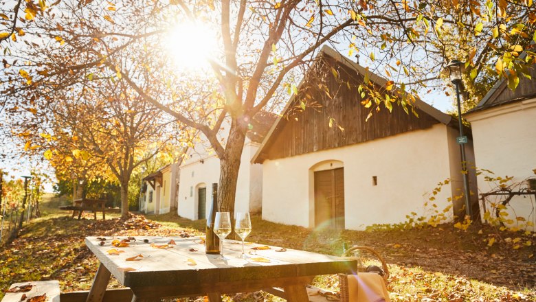 Herbstliche Stimmung in der Kellergasse Loamgrui, Unterstinkenbrunn, © Weinviertel Tourismus / Michael Liebert