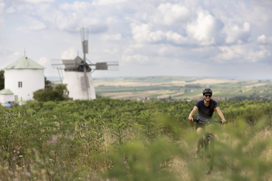 warten genussvolle Radtouren, © Weinviertel Tourismus / Markus Frühmann